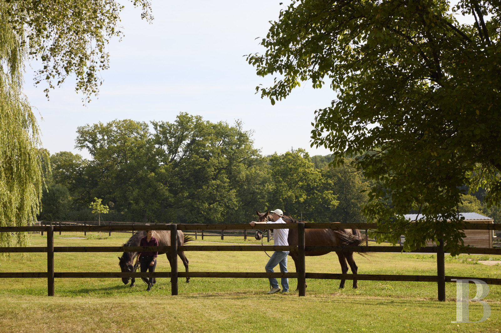 En Pays d’Auge, non loin de Lisieux, une ancienne ferme du 19e siècle transformée en paradis équestre - photo  n°16